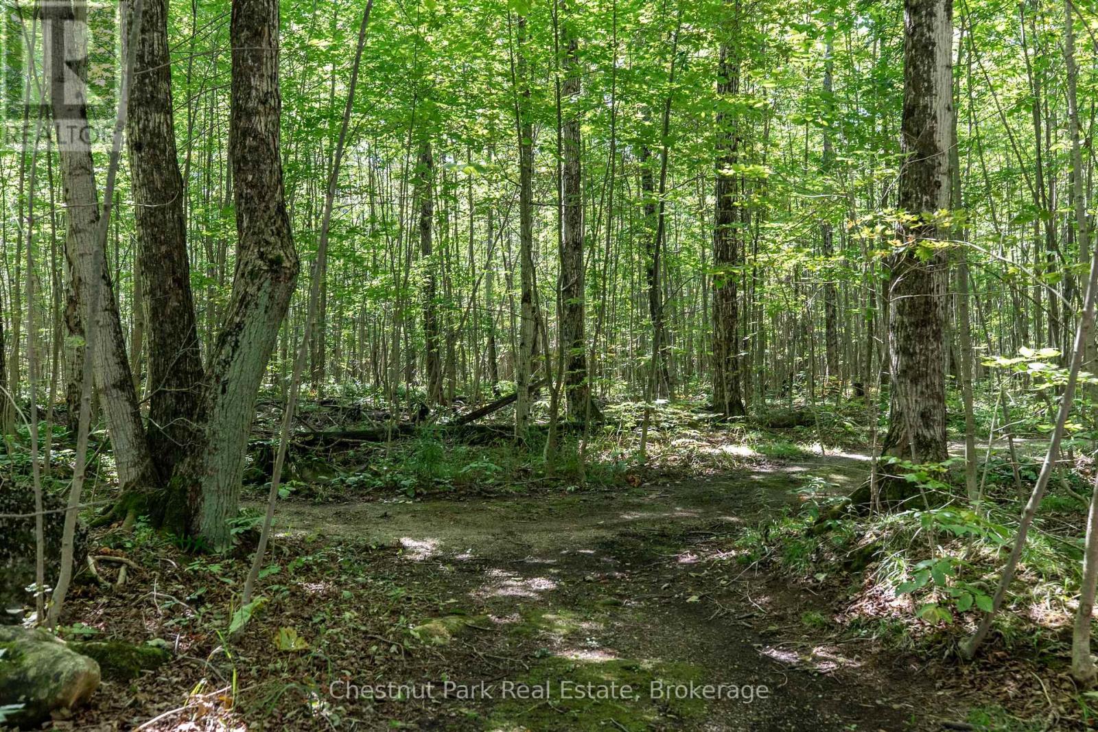 89 Tammys Cove Road, Northern Bruce Peninsula, Ontario  N0H 1Z0 - Photo 10 - X12853142