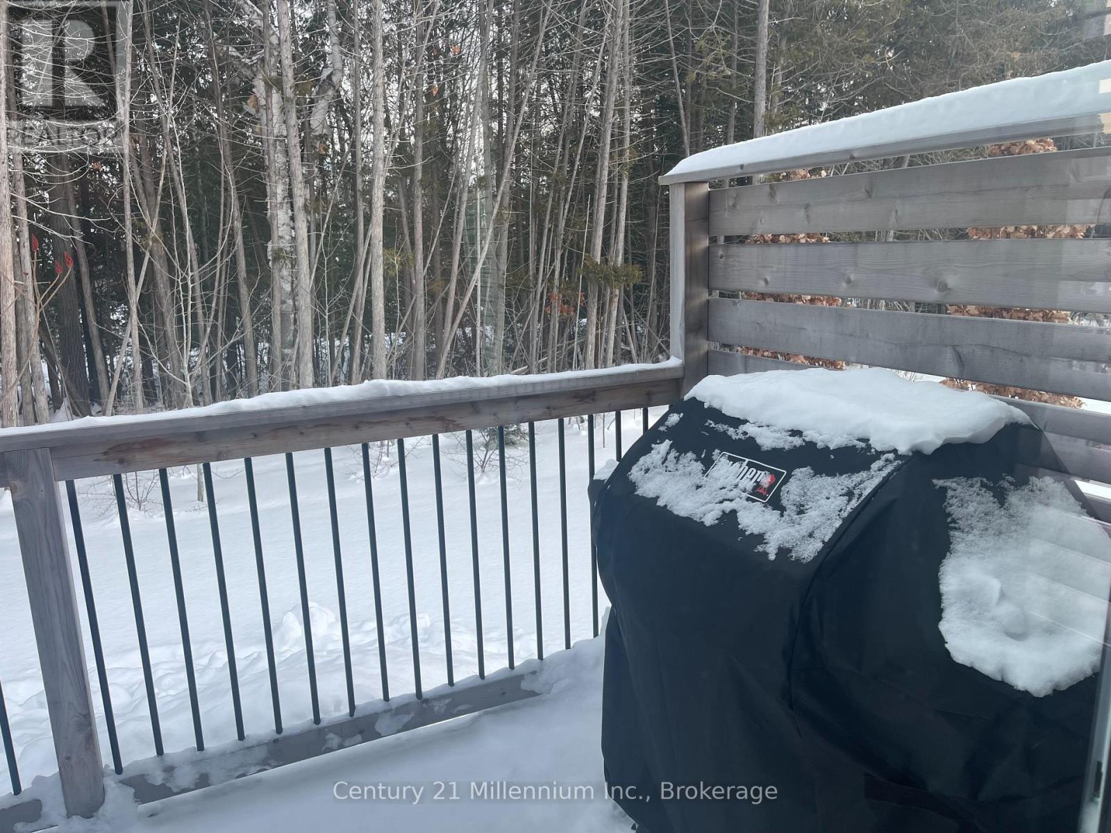 113 Tekiah Road, Blue Mountains, Ontario  N0H 1J0 - Photo 40 - X12853194