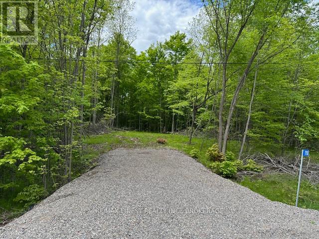 17146 Road 509, Frontenac (Frontenac Centre), Ontario  K0H 2P0 - Photo 2 - X12853366