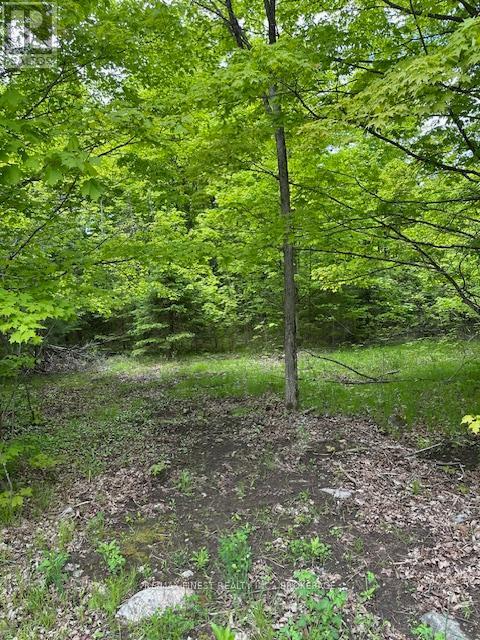 17146 Road 509, Frontenac (Frontenac Centre), Ontario  K0H 2P0 - Photo 3 - X12853366