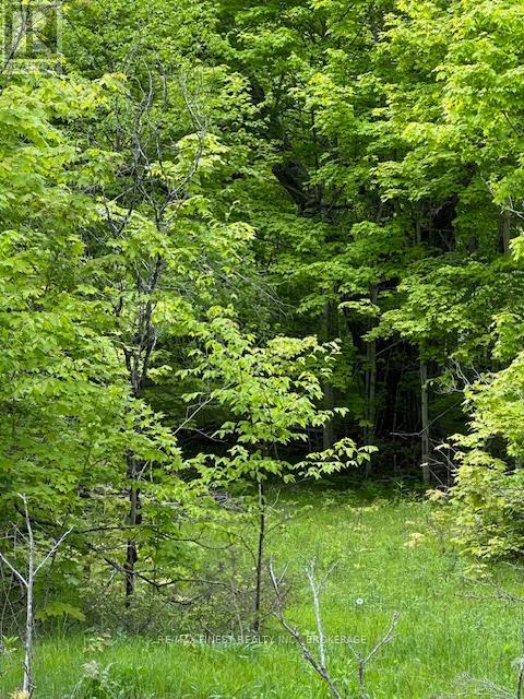 17146 Road 509, Frontenac (Frontenac Centre), Ontario  K0H 2P0 - Photo 5 - X12853366