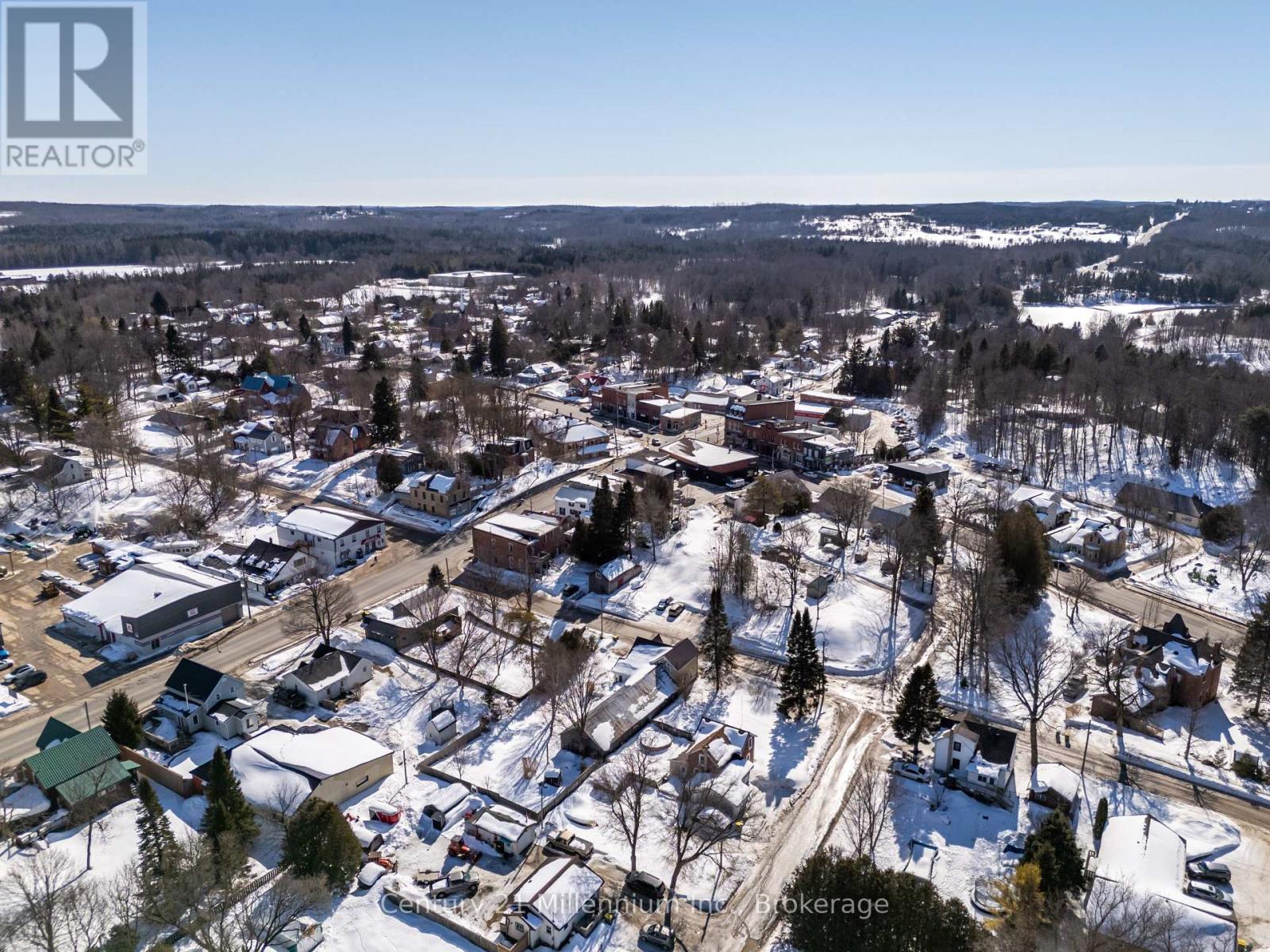 15 Ellen Street, Grey Highlands, Ontario  N0C 1E0 - Photo 33 - X12853390