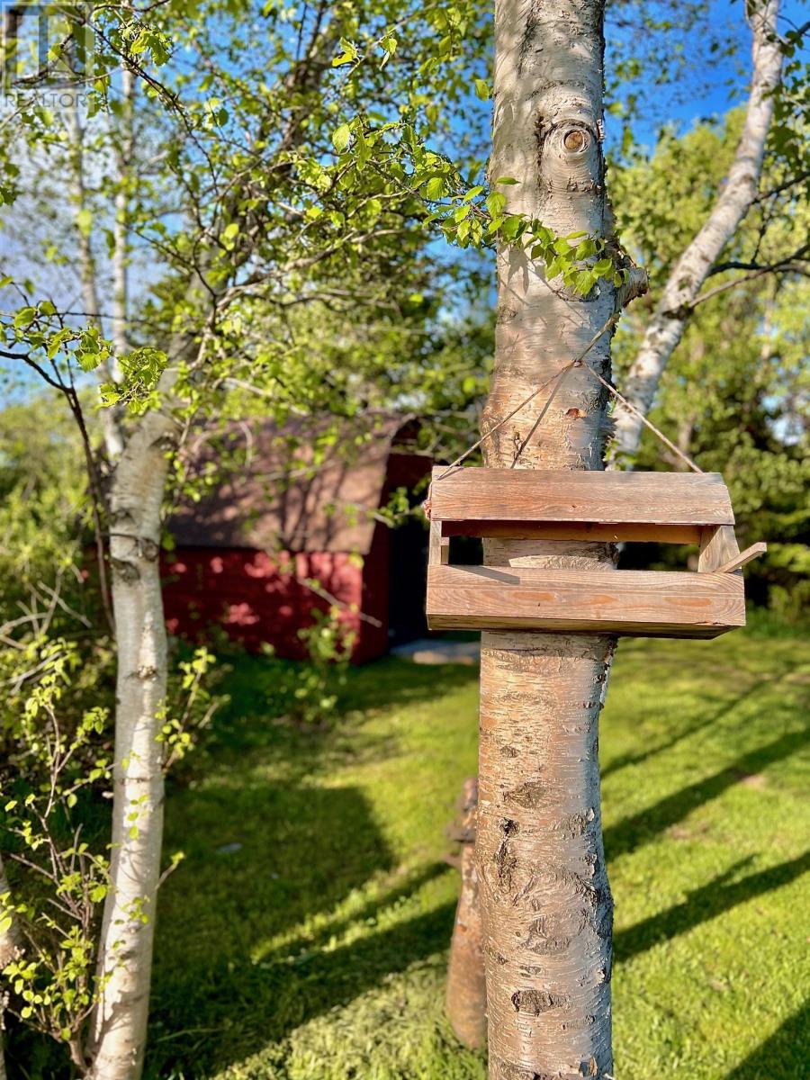 38 Goobies Road N, Goobies North, Newfoundland & Labrador  A0B 2N0 - Photo 5 - 1295024