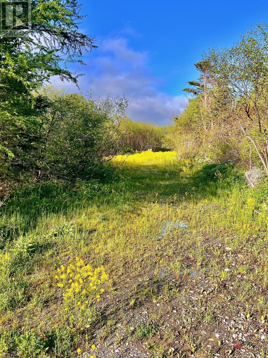 38 Goobies Road N, Goobies North, Newfoundland & Labrador  A0B 2N0 - Photo 8 - 1295024