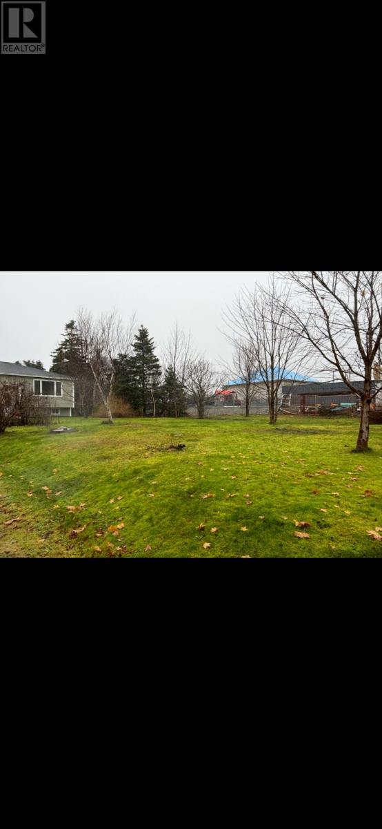 8 Twin Brooks Drive, Paradise, Newfoundland & Labrador  A1L 1Y1 - Photo 38 - 1294843