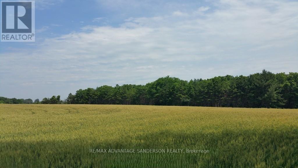 21744 Richmond Street, Middlesex Centre, Ontario  N5X 4B2 - Photo 10 - X12853306