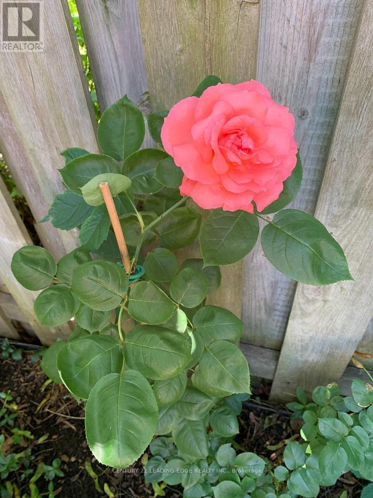 10 Empson Court, Ajax (South West), Ontario  L1S 3Y3 - Photo 42 - E12853604