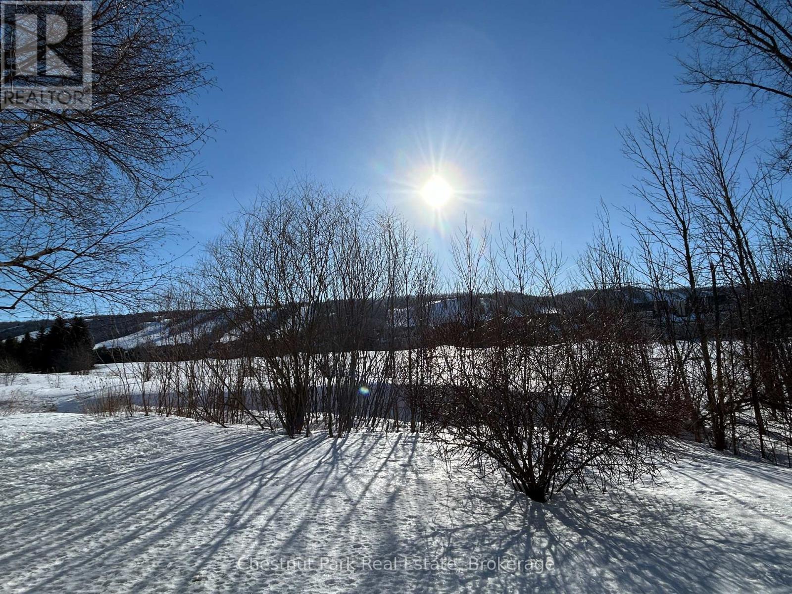 135 - 130 Fairway Court, Blue Mountains, Ontario  L9Y 0P8 - Photo 8 - X12854004