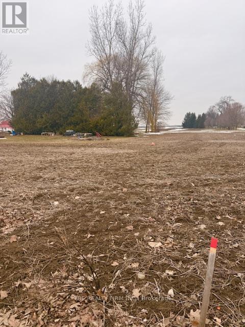 10181 Ivan Drive, Middlesex Centre, Ontario  N0M 2A0 - Photo 6 - X12854102