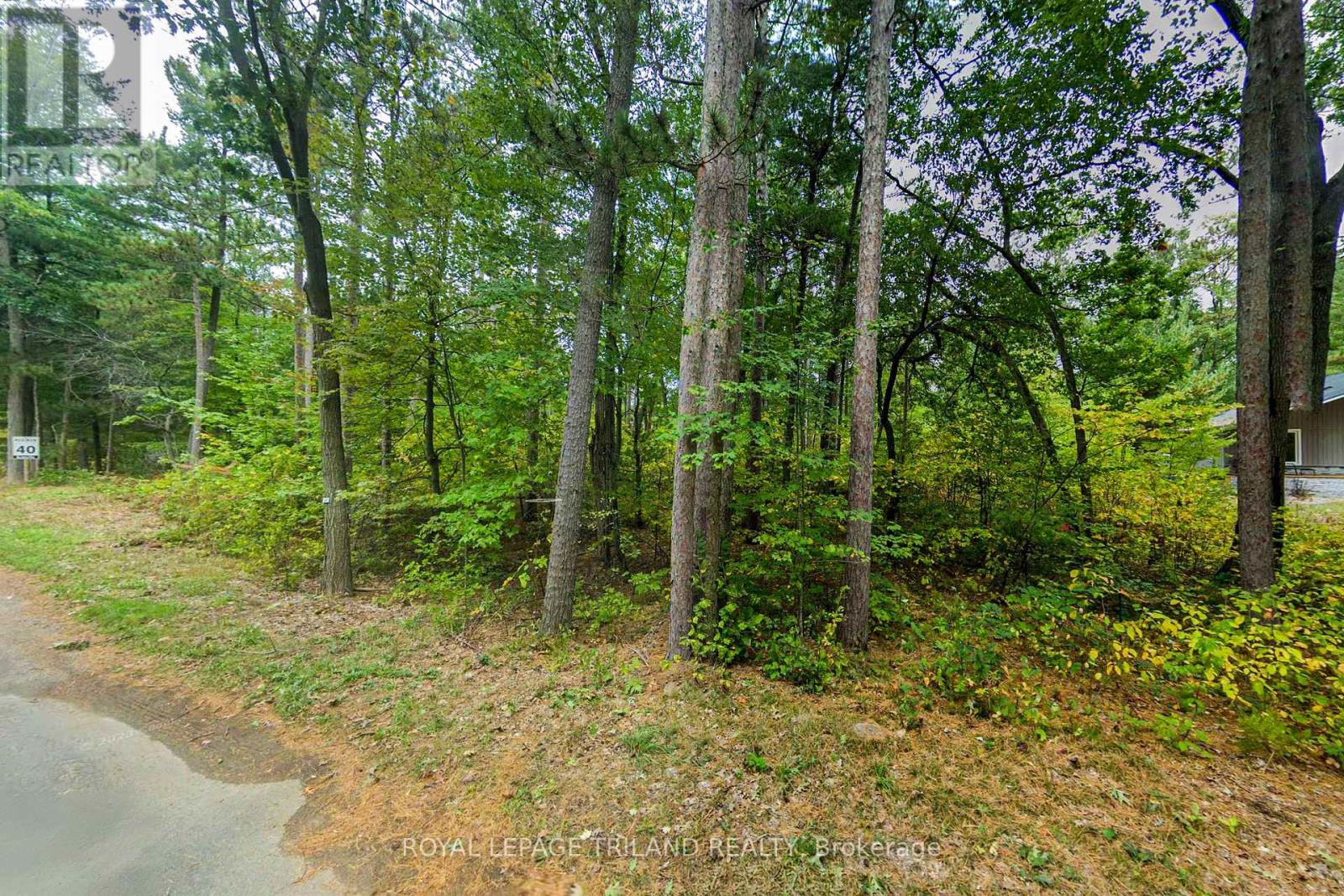 10328 Pinetree Drive, Lambton Shores, Ontario  N0M 1T0 - Photo 4 - X12854244