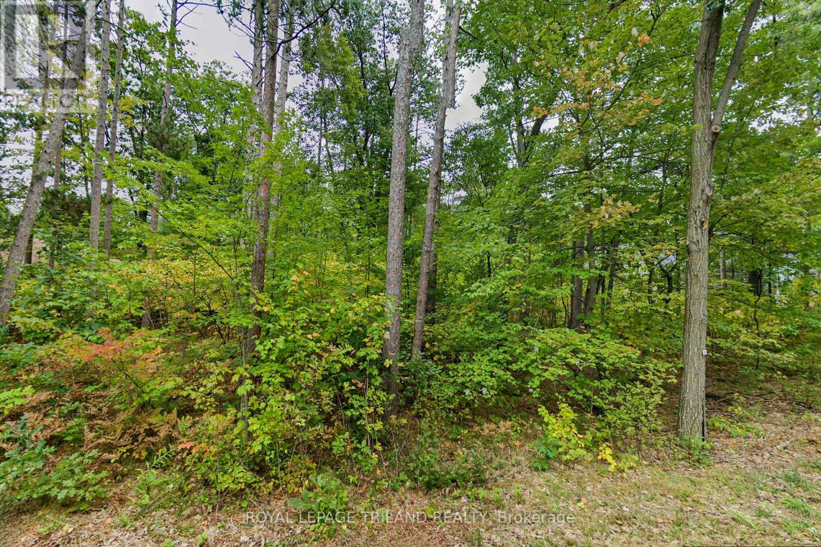 10328 Pinetree Drive, Lambton Shores, Ontario  N0M 1T0 - Photo 5 - X12854244