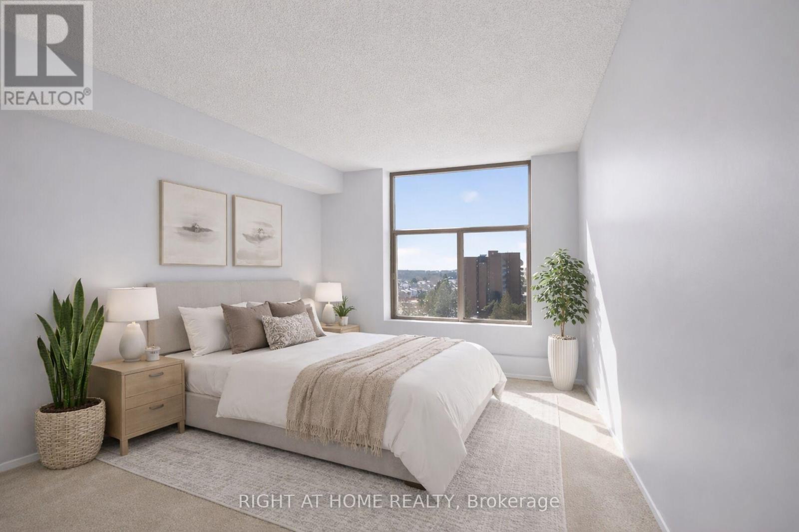 808 - 2759 Carousel Crescent, Ottawa, Ontario  K1T 2N5 - Photo 17 - X12853916