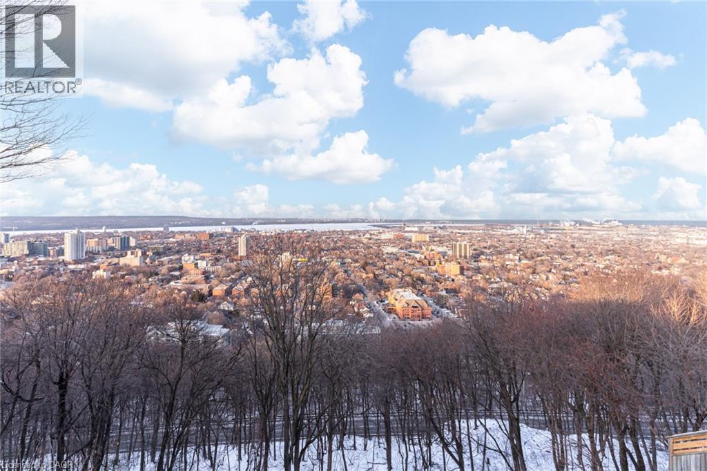 91 Mountain Park Avenue, Hamilton, Ontario  L9A 1A1 - Photo 33 - 40809026