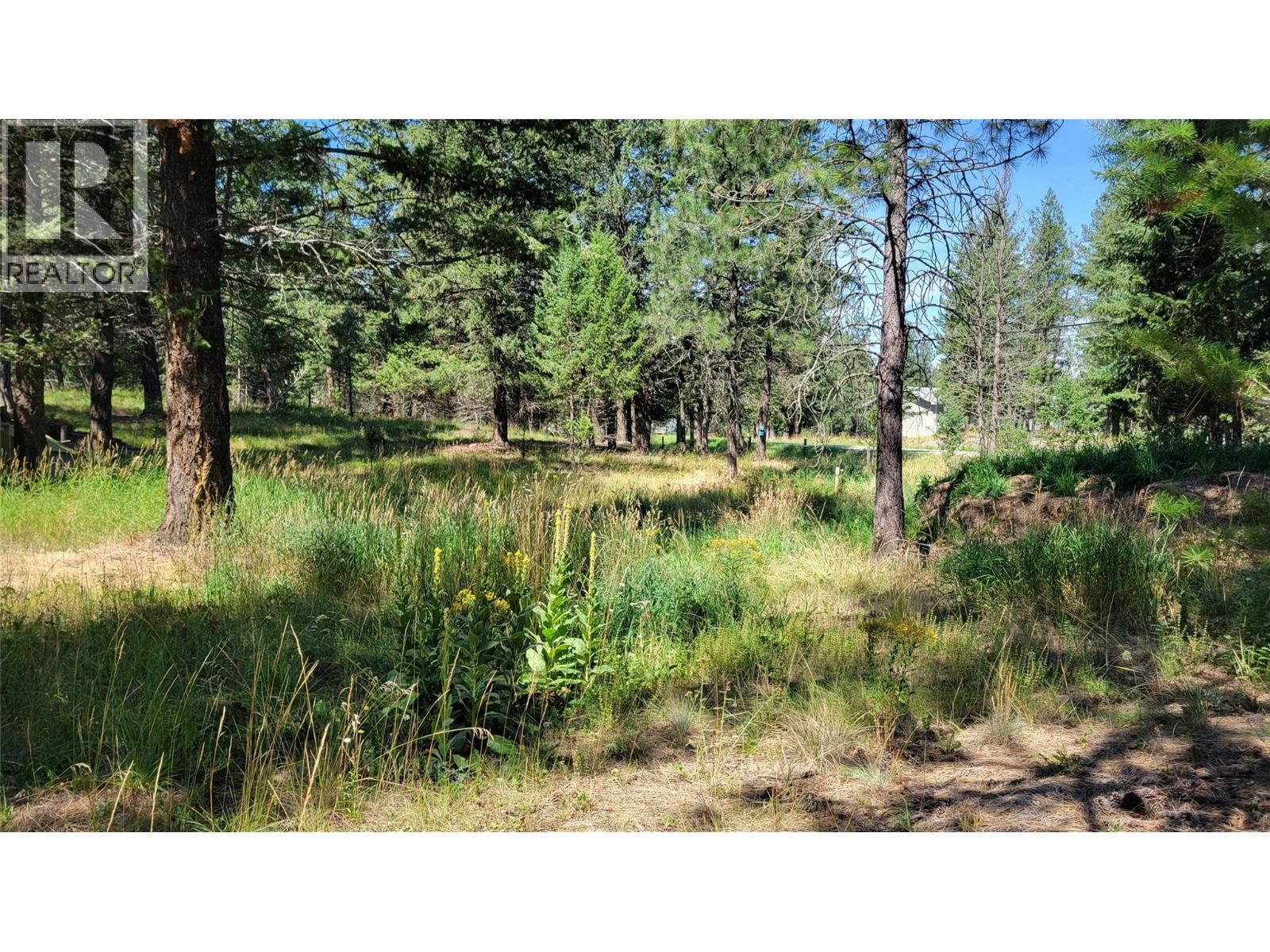 3665 Sweet Road, Baynes Lake, British Columbia  V0B 1T4 - Photo 20 - 10378238