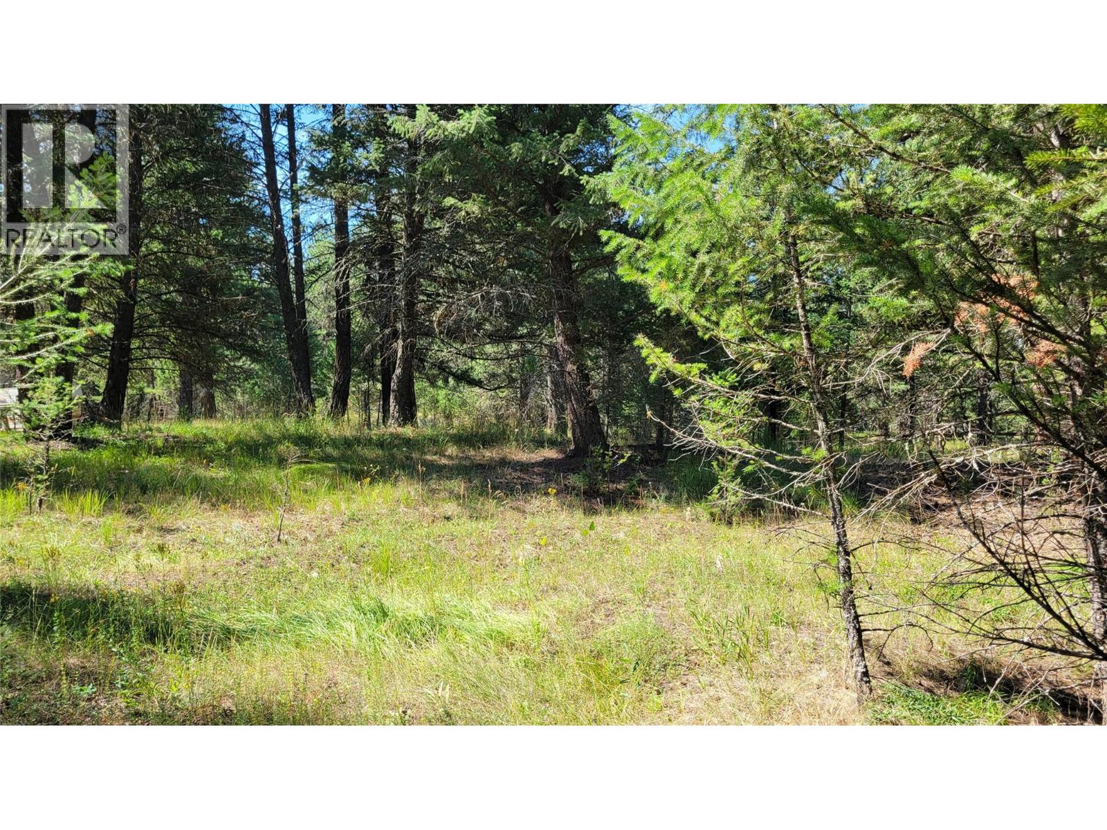 3665 Sweet Road, Baynes Lake, British Columbia  V0B 1T4 - Photo 21 - 10378238