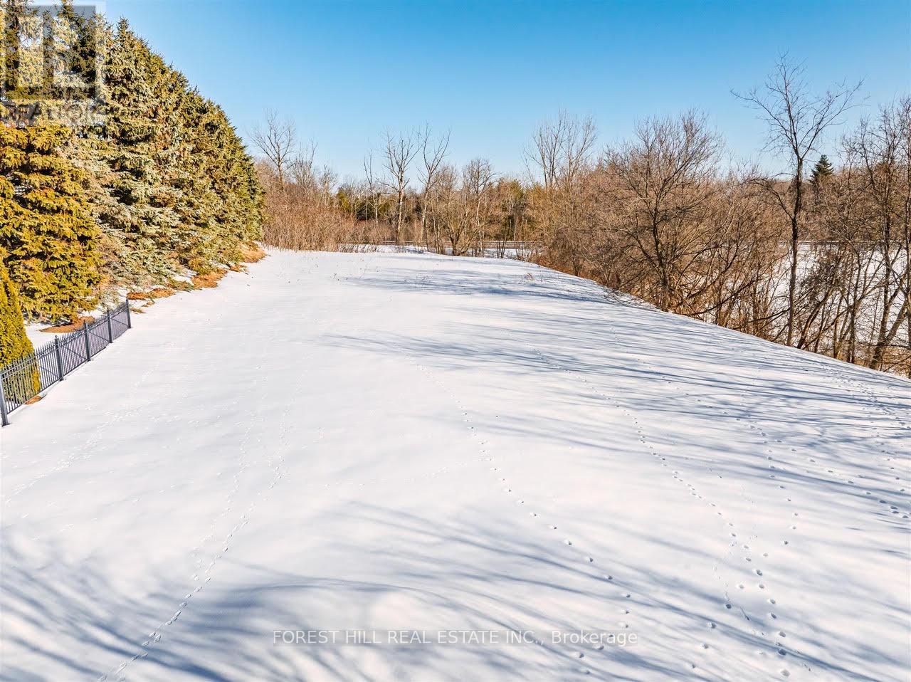 29 Country Heights Drive, Richmond Hill, Ontario  L4E 3M8 - Photo 8 - N12851218