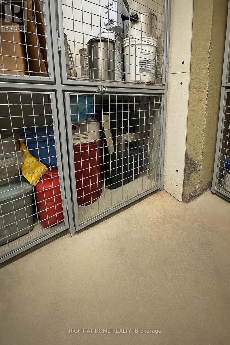 102 - 50 Murray Street W, Hamilton, Ontario  L8L 1B3 - Photo 19 - X12682902