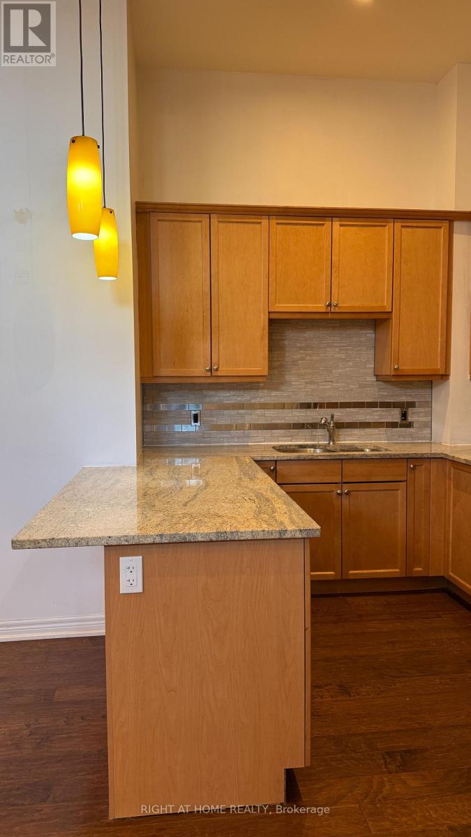 102 - 50 Murray Street W, Hamilton, Ontario  L8L 1B3 - Photo 7 - X12682902