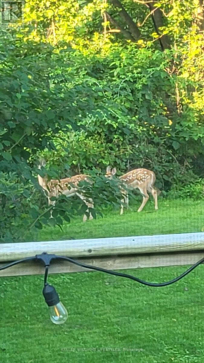 2 Opechee Street, St. Thomas, Ontario  N5R 1V9 - Photo 38 - X12854376