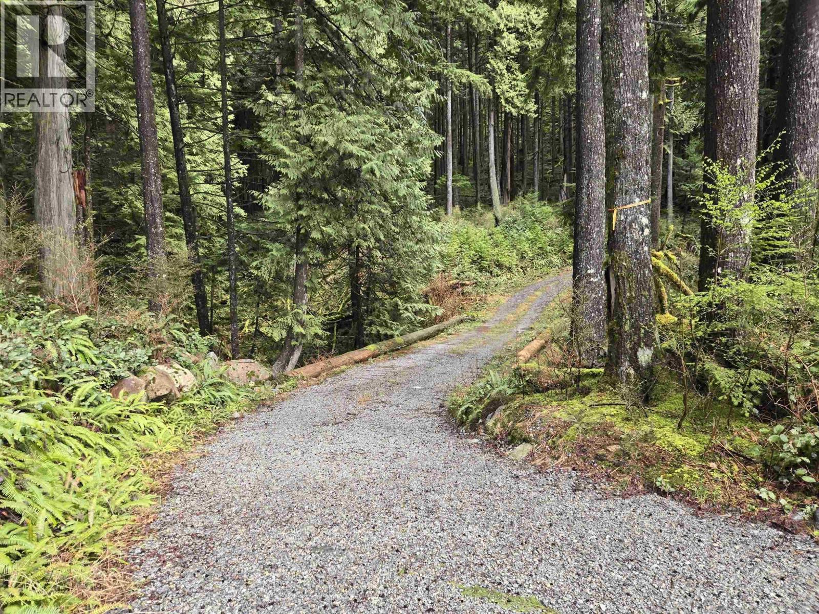 Lot 4 Williams Landing, Pitt Meadows, British Columbia  V0N 1V0 - Photo 6 - R3096253