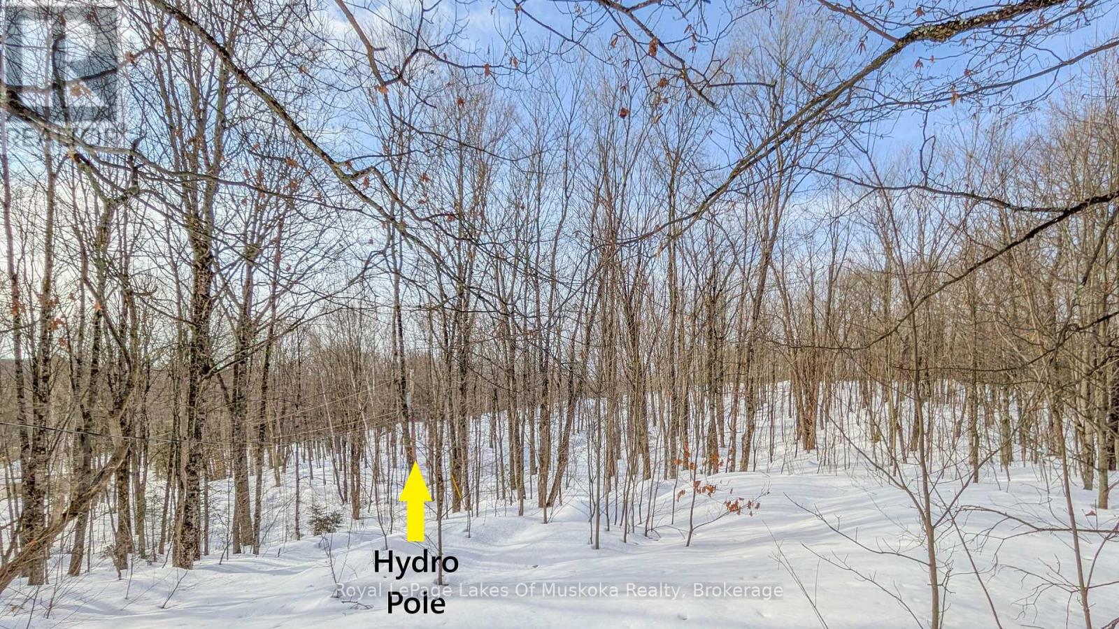 1100 Raymond Road, Muskoka Lakes, Ontario  P0B 1M0 - Photo 10 - X12854322