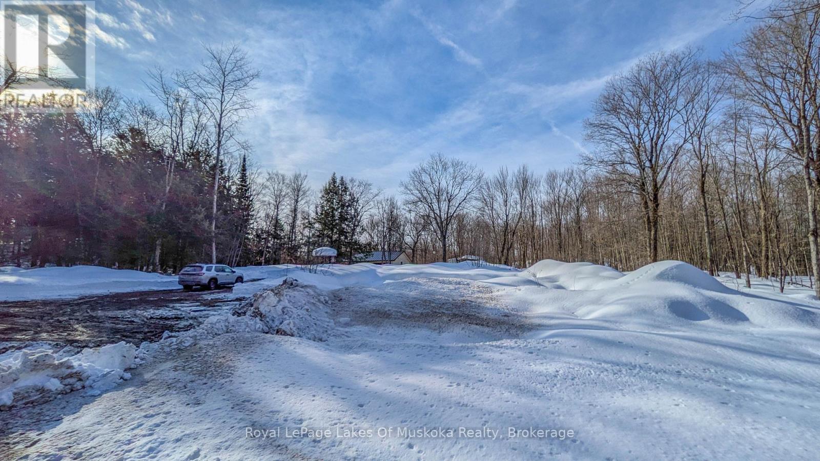 1100 Raymond Road, Muskoka Lakes, Ontario  P0B 1M0 - Photo 11 - X12854322