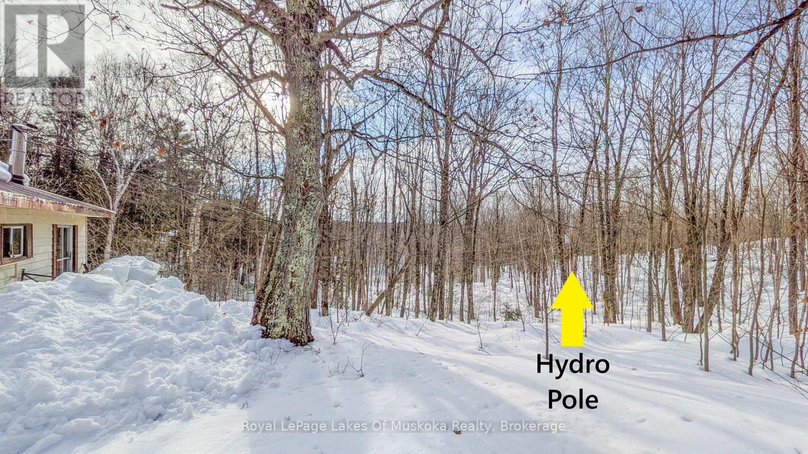 1100 Raymond Road, Muskoka Lakes, Ontario  P0B 1M0 - Photo 9 - X12854322