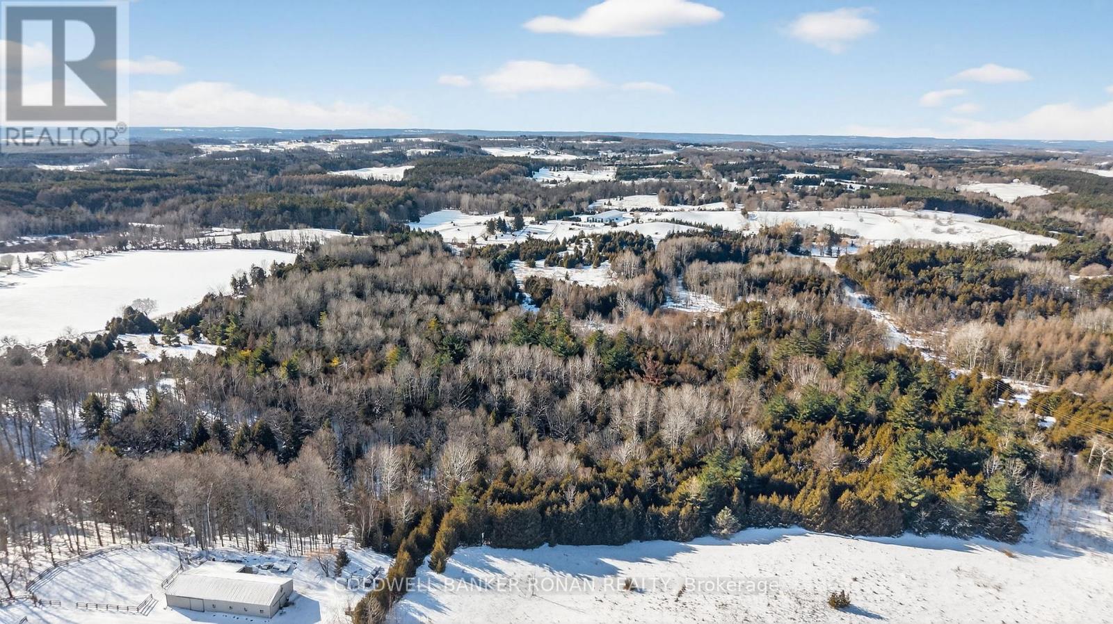 8155 19th Side Road, King, Ontario  L0G 1T0 - Photo 10 - N12854372