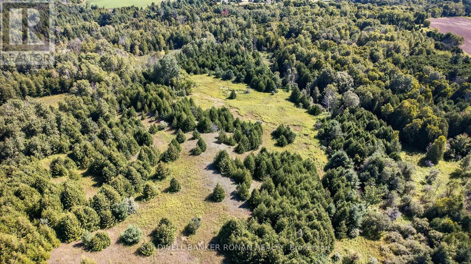 8155 19th Side Road, King, Ontario  L0G 1T0 - Photo 13 - N12854372