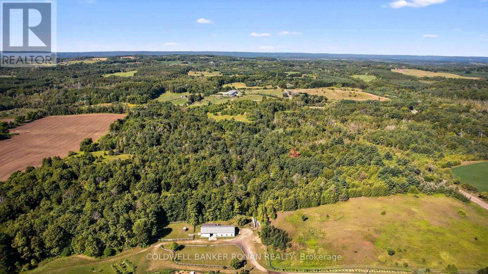 8155 19th Side Road, King, Ontario  L0G 1T0 - Photo 19 - N12854372