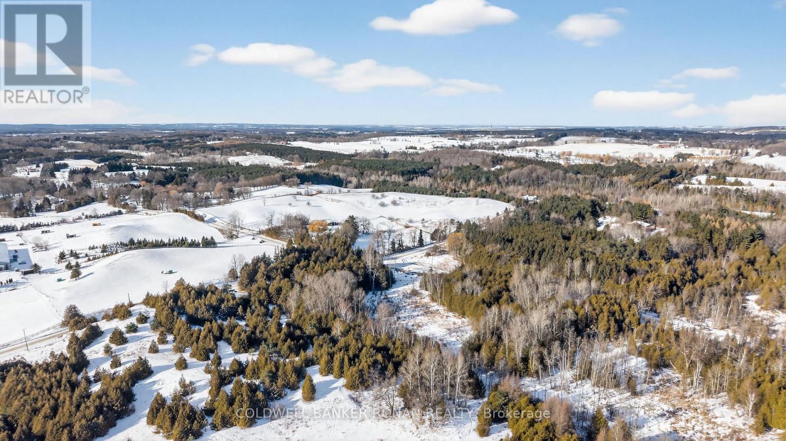 8155 19th Side Road, King, Ontario  L0G 1T0 - Photo 6 - N12854372