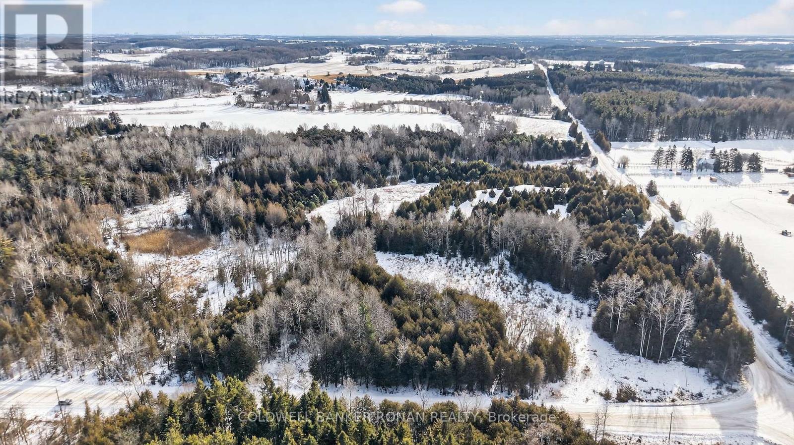 8155 19th Side Road, King, Ontario  L0G 1T0 - Photo 8 - N12854372