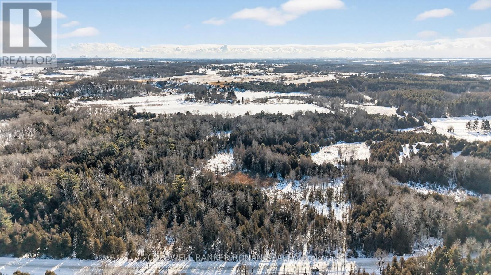 8155 19th Side Road, King, Ontario  L0G 1T0 - Photo 9 - N12854372