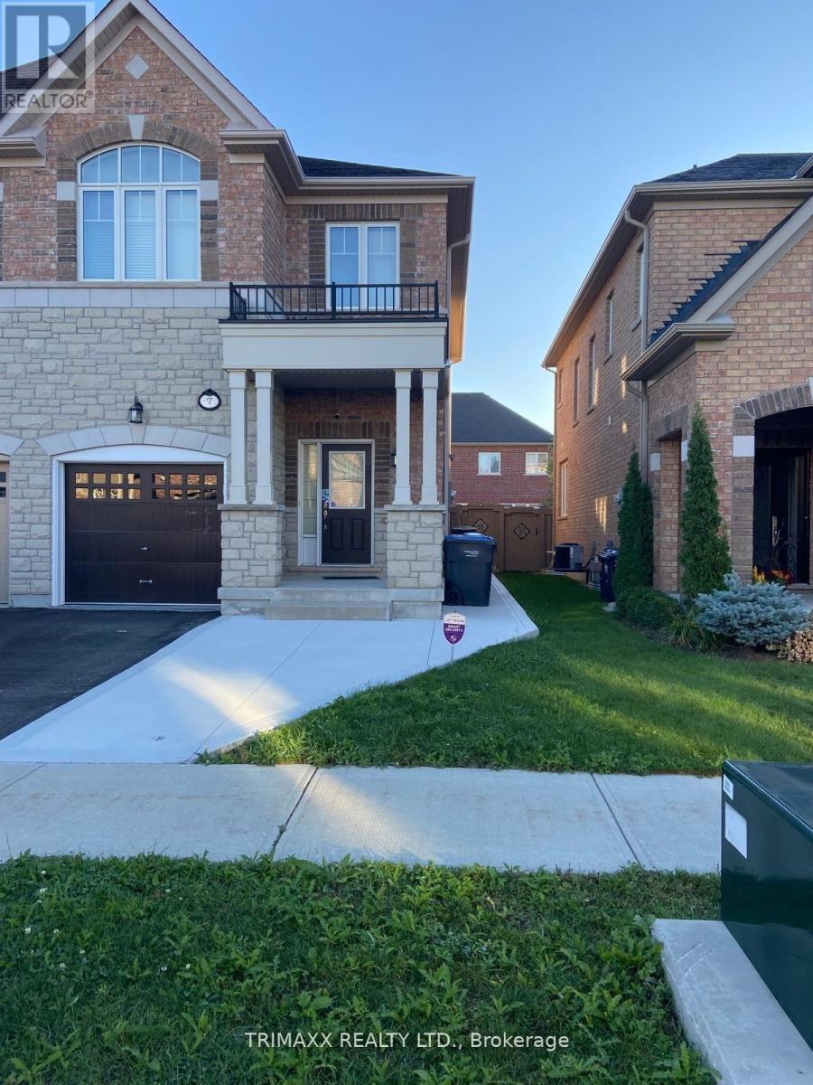 BASEMENT - 7 VINEWOOD ROAD, Caledon, Ontario