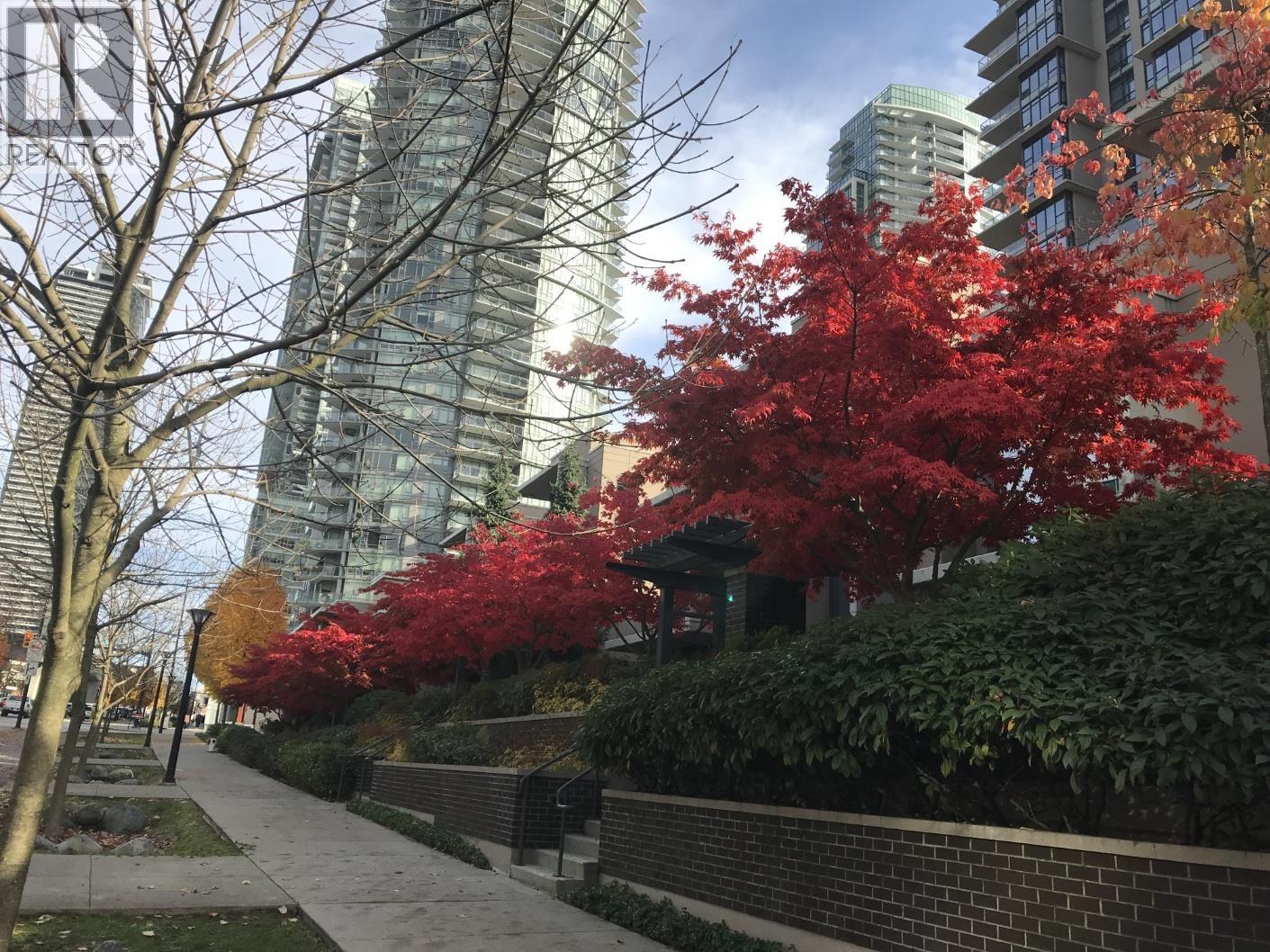 Th2 2077 Rosser Avenue, Burnaby, British Columbia  V5C 0G6 - Photo 38 - R3094936