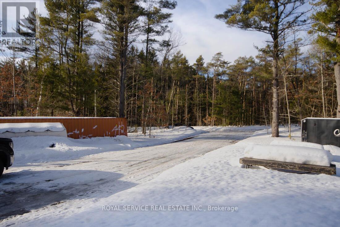 549 Turk Road, Alnwick/haldimand, Ontario  K0K 2G0 - Photo 2 - X12854766