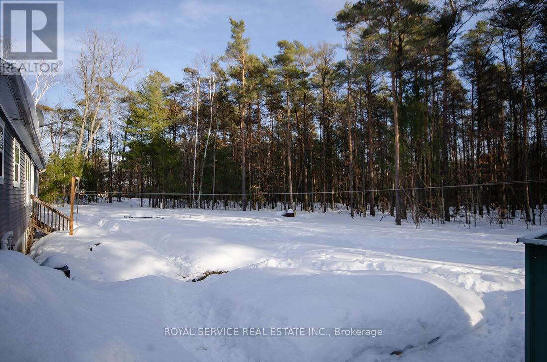 549 Turk Road, Alnwick/haldimand, Ontario  K0K 2G0 - Photo 34 - X12854766
