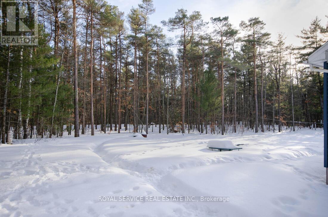 549 Turk Road, Alnwick/haldimand, Ontario  K0K 2G0 - Photo 41 - X12854766