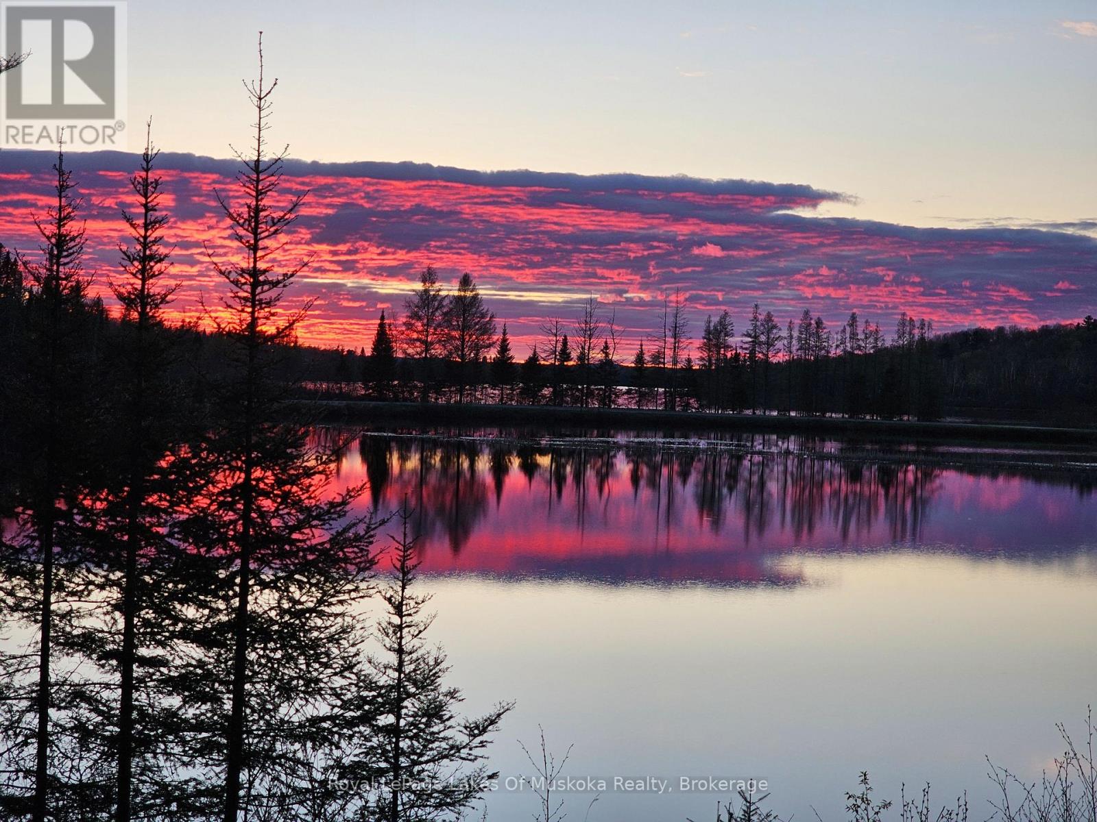 763 Sand Hill Road, South River, Ontario  P0A 1X0 - Photo 2 - X12854730