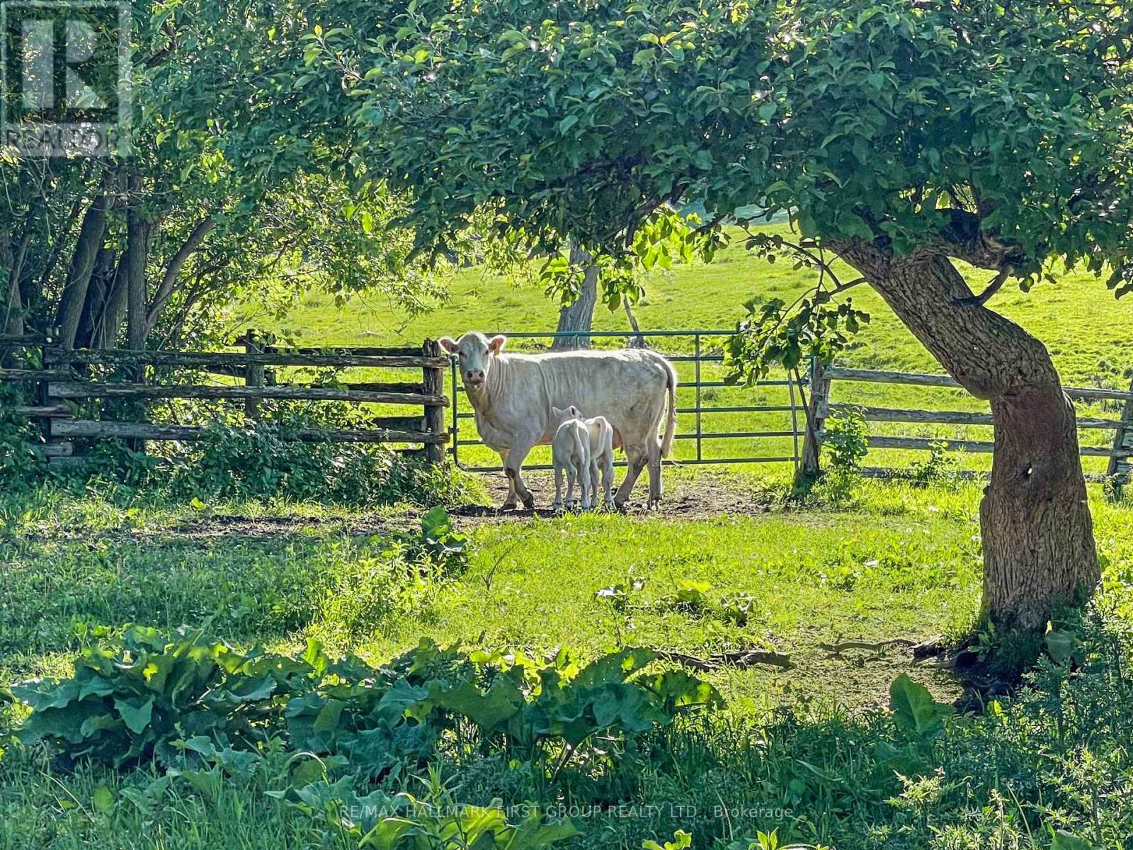 9024 Racetrack Road, Hamilton Township, Ontario  K9A 4J9 - Photo 43 - X12854150