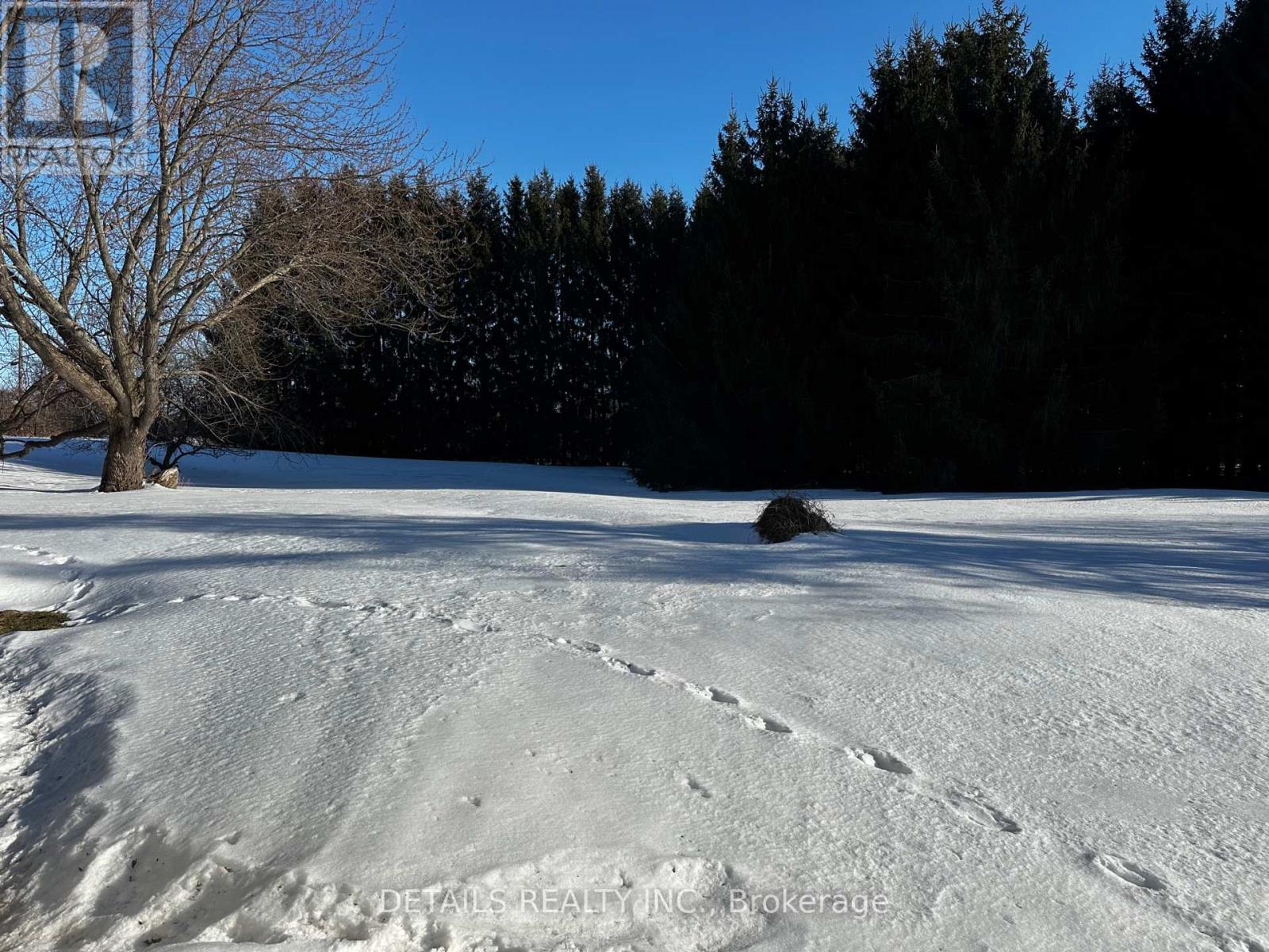 2208 Fitzroy Street N, Ottawa, Ontario  K0A 1X0 - Photo 22 - X12836826