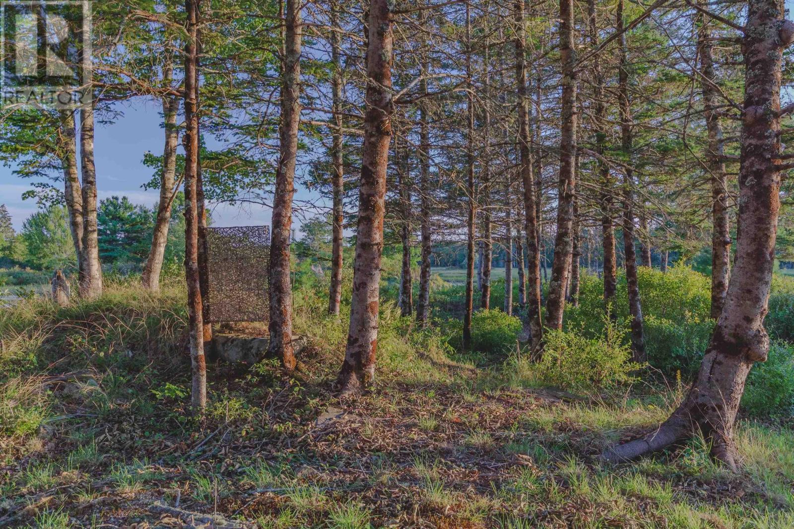 7192 Highway 308, Quinan, Nova Scotia  B0W 1M0 - Photo 32 - 202523532