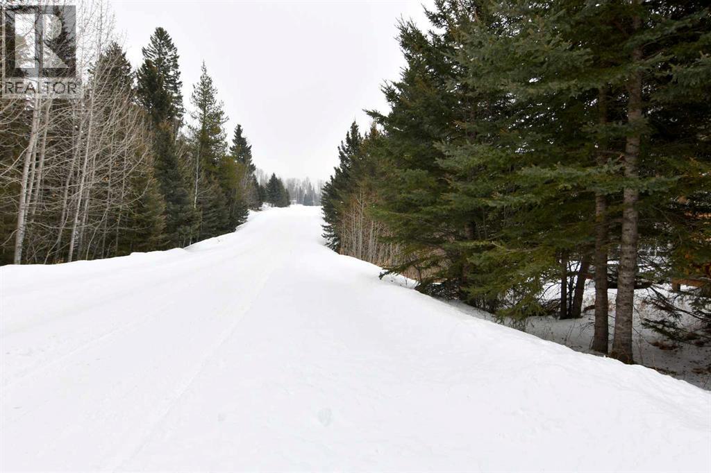 21,  Ricinus Ridge Drive, Rural Clearwater County, Alberta  T0M 0M0 - Photo 2 - A2290499