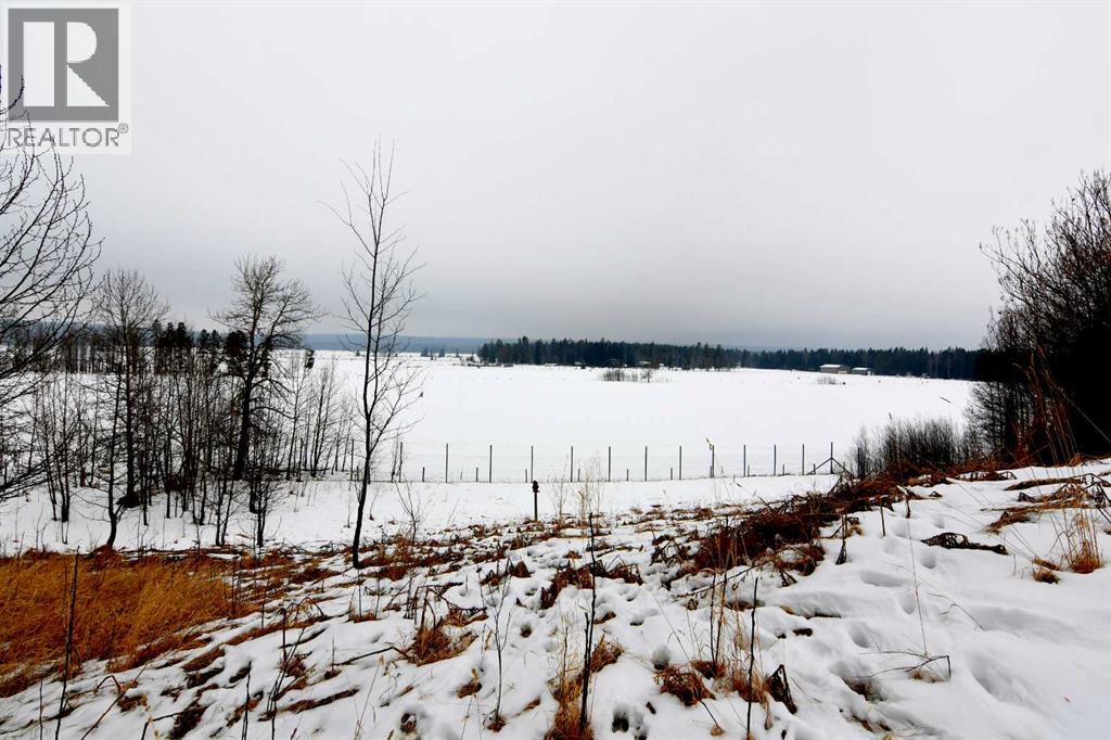 21,  Ricinus Ridge Drive, Rural Clearwater County, Alberta  T0M 0M0 - Photo 4 - A2290499