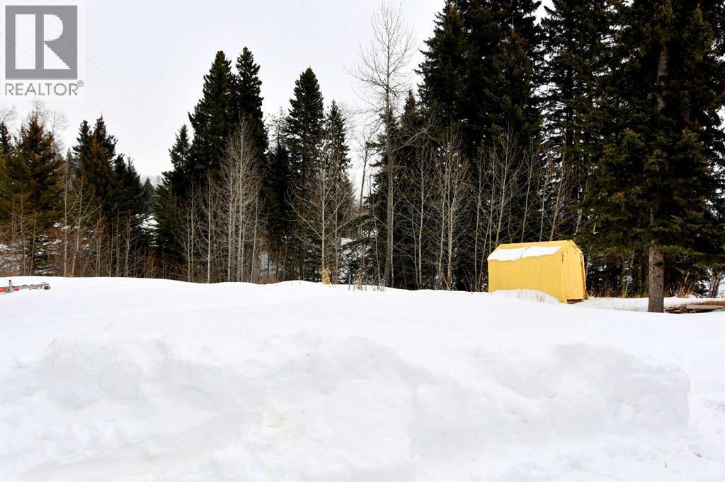 21,  Ricinus Ridge Drive, Rural Clearwater County, Alberta  T0M 0M0 - Photo 37 - A2290499