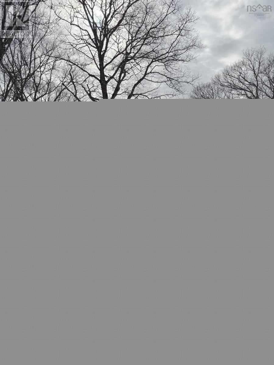 396 Highway 208, New Germany, Nova Scotia  B0R 1E0 - Photo 48 - 202604013