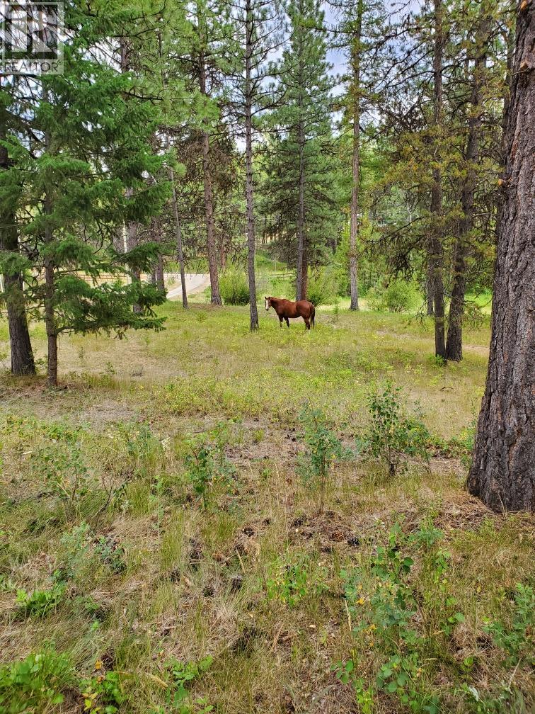 3417 Mcginty Road, Kimberley, British Columbia  V1A 3L5 - Photo 11 - 10378233