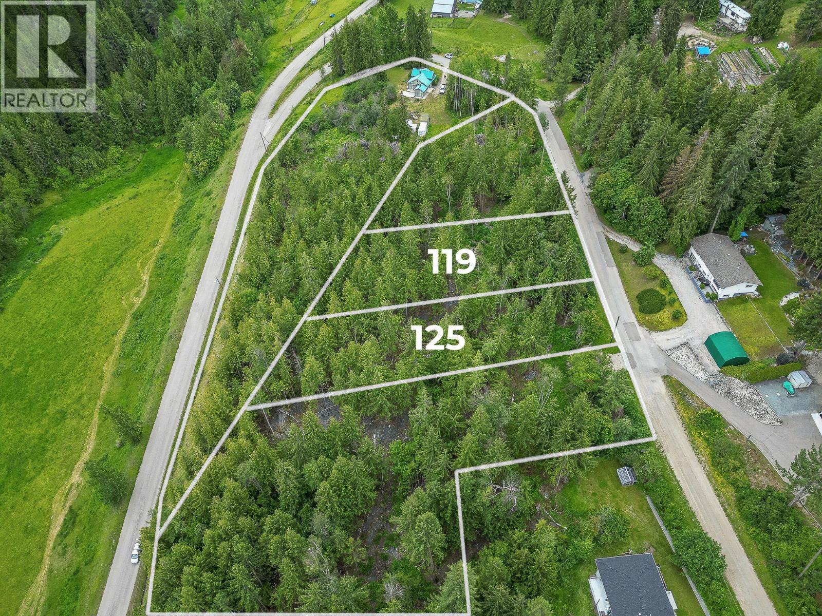 125 Timberlane Road, Enderby, British Columbia  V0E 1V1 - Photo 1 - 10378213