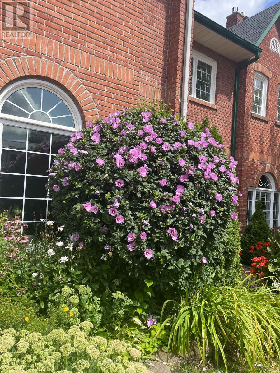 6 - 110 Mary Street W, Whitby (Downtown Whitby), Ontario  L1N 8M5 - Photo 4 - E12854904