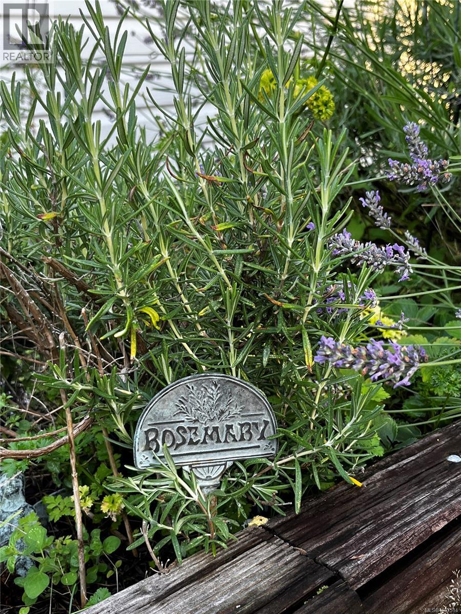 755 Kit Cres, Campbell River, British Columbia  V9H 1P6 - Photo 35 - 1027514